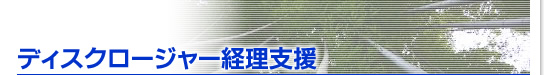 �f�B�X�N���[�W���[�o���x��